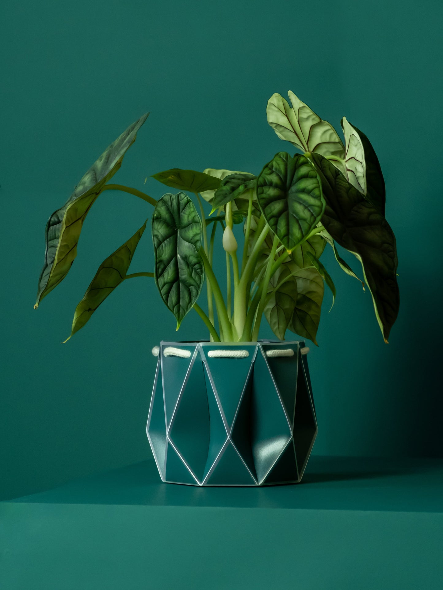 POTR Origami Plant Pot 15cm - Dark Teal