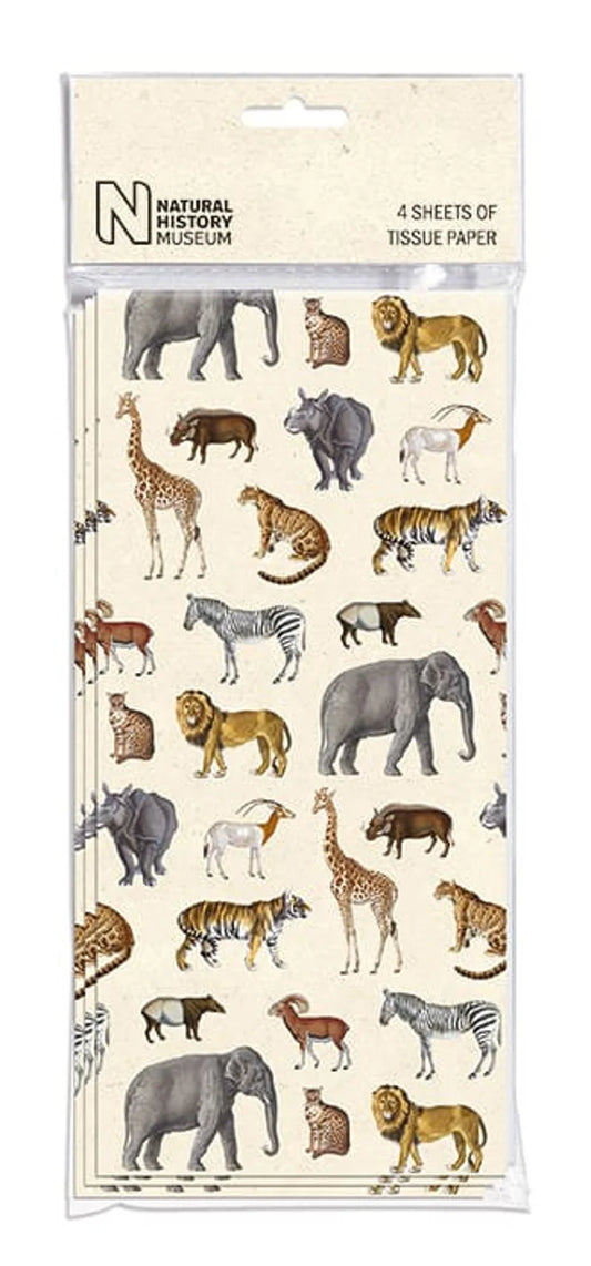 Natural History Museum 4 Sheets Tissue Paper - Safari