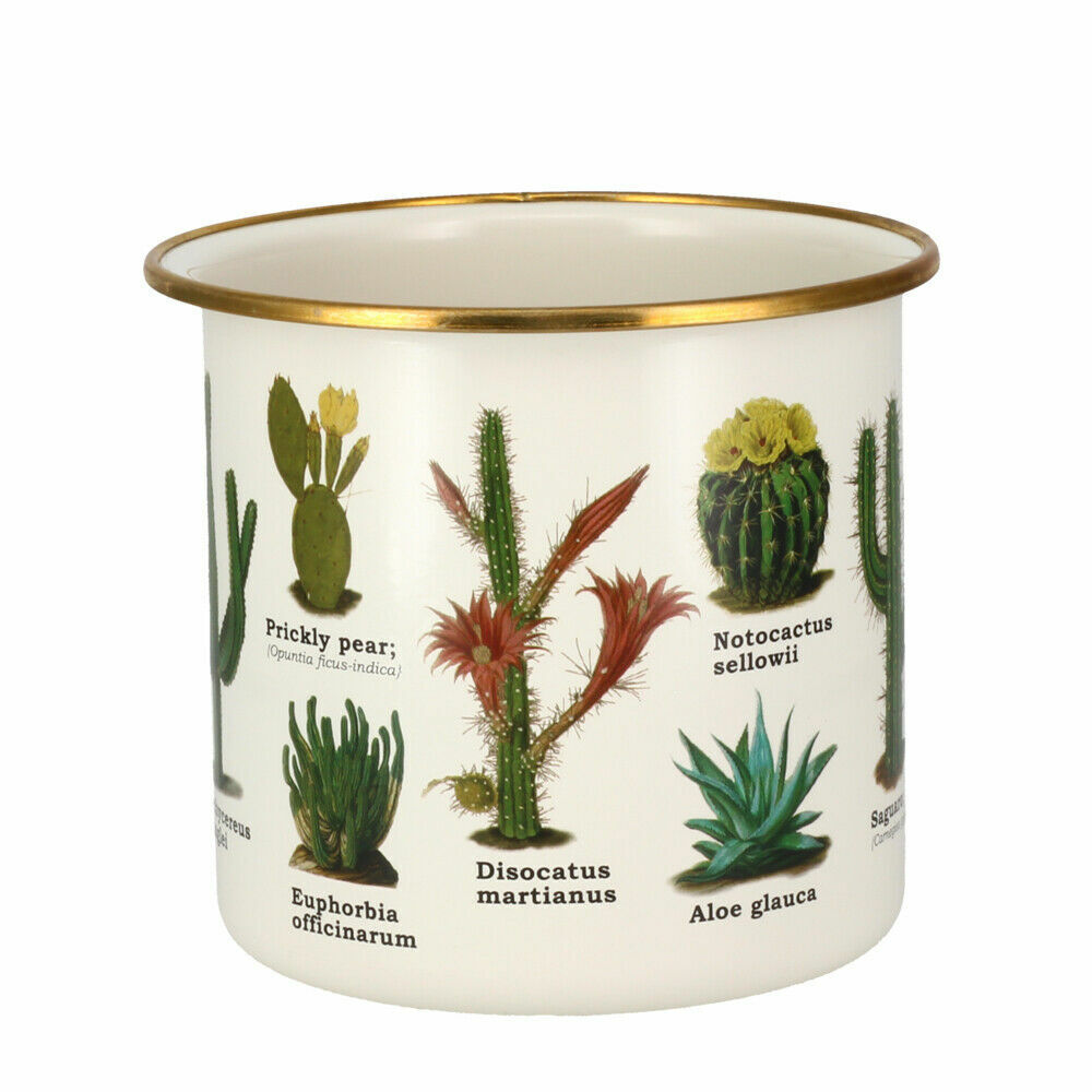 Cacti Enamel Mug