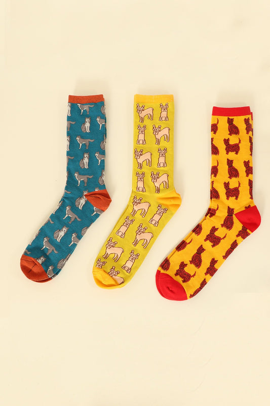 Multi Mens Dog Socks Gift Box